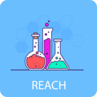 REACH-en-e1642888459199.png